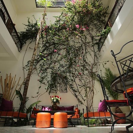 Riad White Flowers مراكش المظهر الخارجي الصورة
