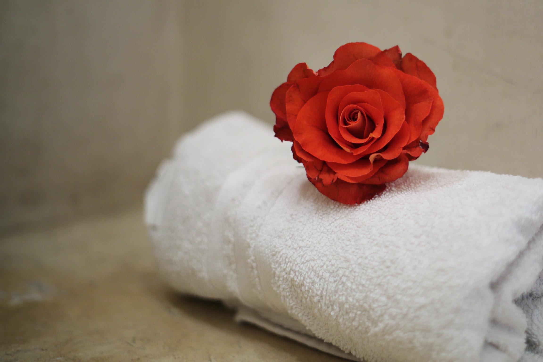 Riad White Flowers مراكش المظهر الخارجي الصورة