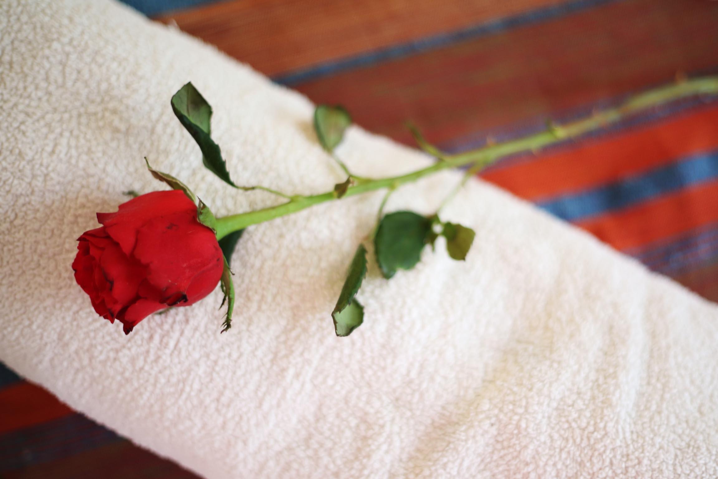 Riad White Flowers مراكش المظهر الخارجي الصورة
