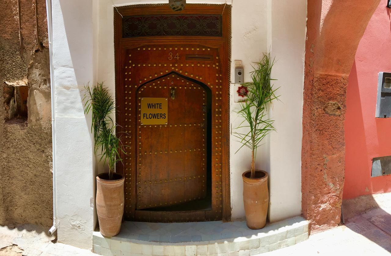 Riad White Flowers مراكش المظهر الخارجي الصورة
