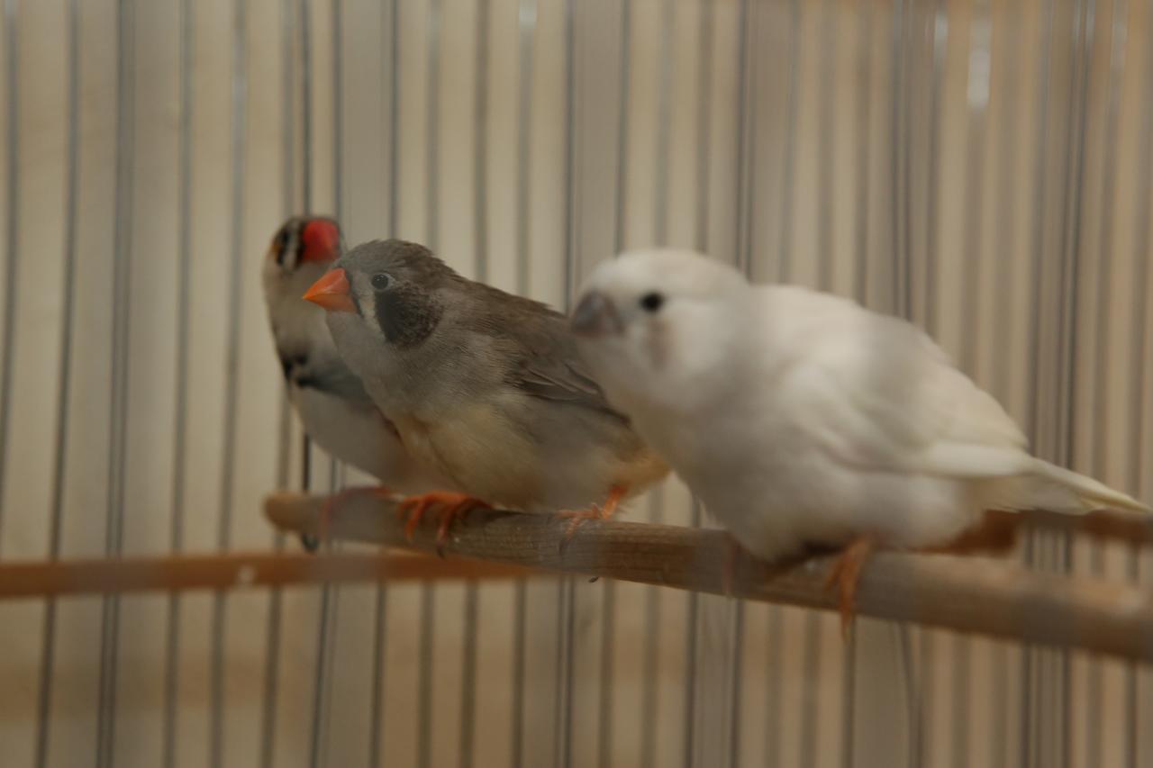 Riad White Flowers مراكش المظهر الخارجي الصورة