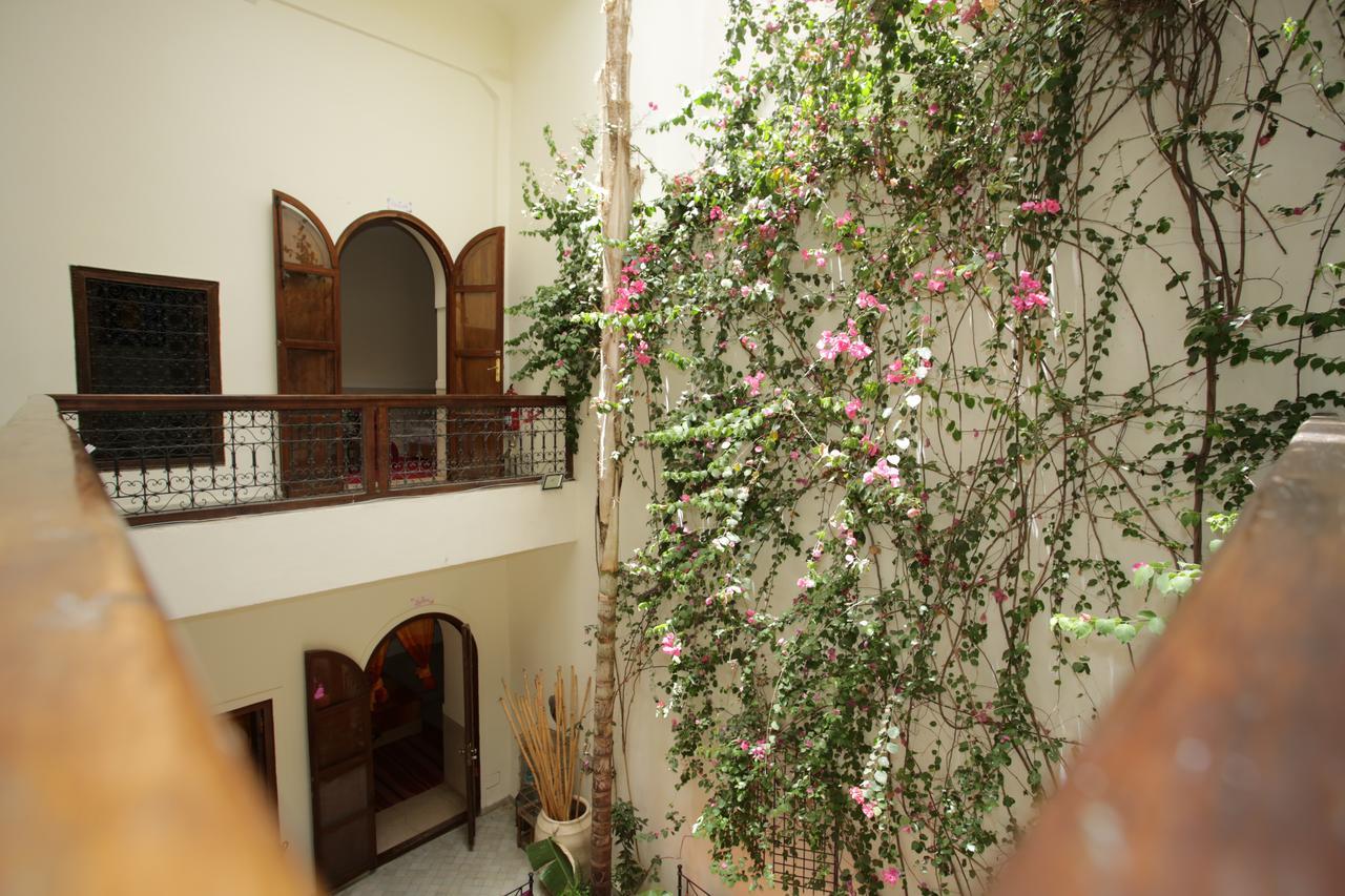 Riad White Flowers مراكش المظهر الخارجي الصورة